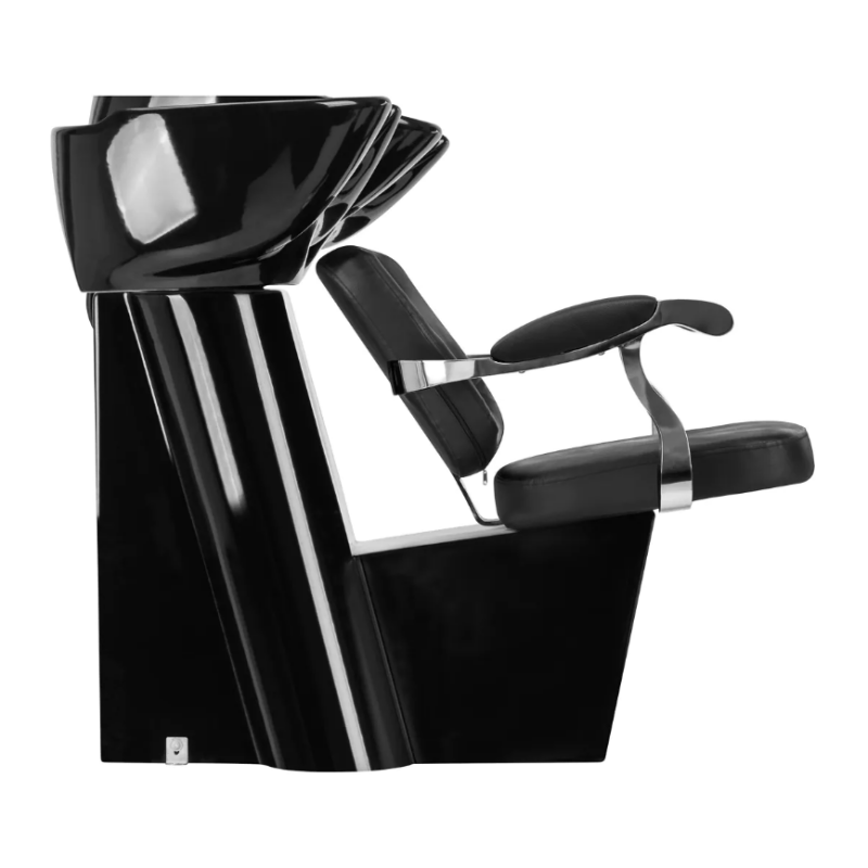 Frizerski glavoper Lyon