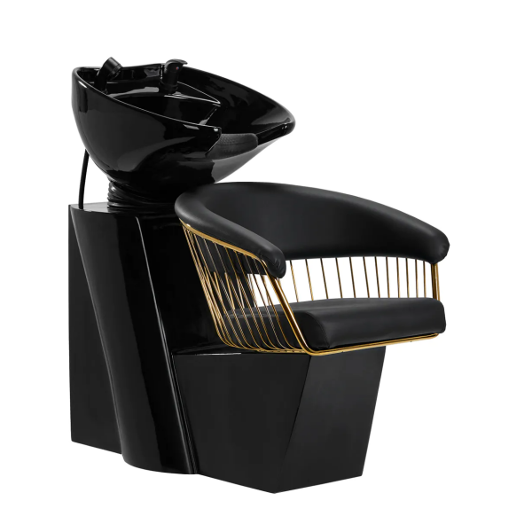 Frizerski glavoper Lille