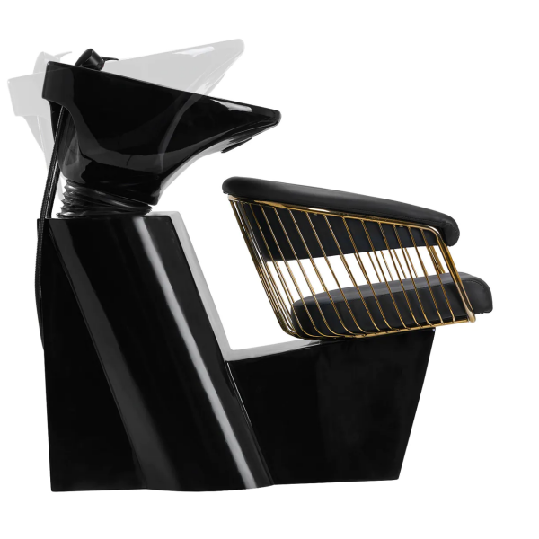 Frizerski glavoper Lille