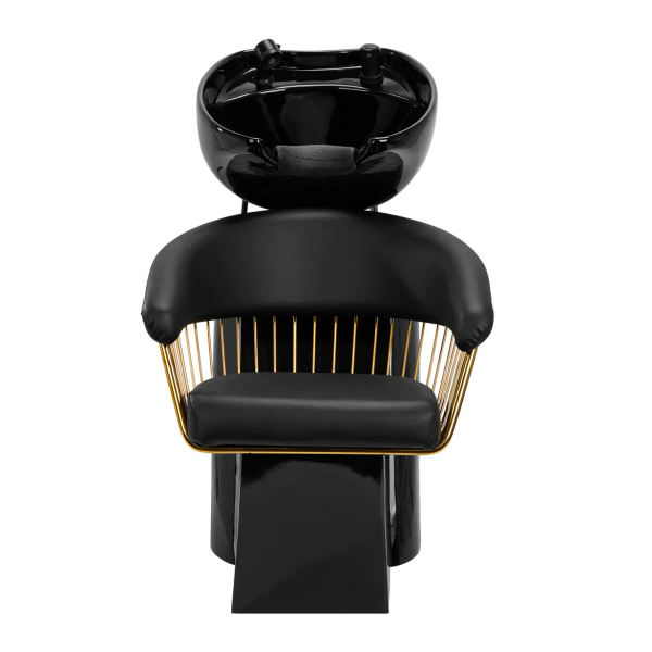 Frizerski glavoper Lille