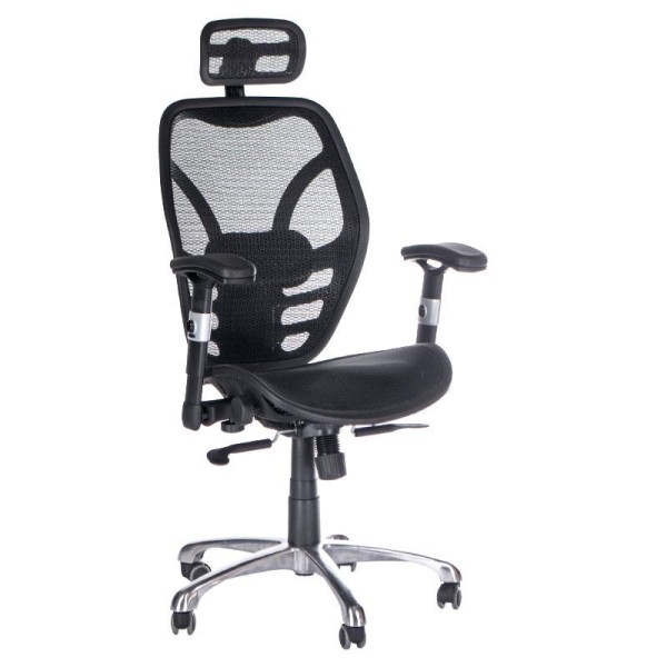 Ergonomska stolica CorpoComfort BX-4036