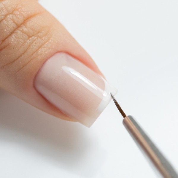 NTN Premium kist za dekoriranje 