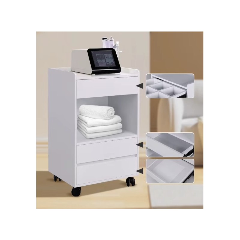 Odlagalna kolica HZ-901