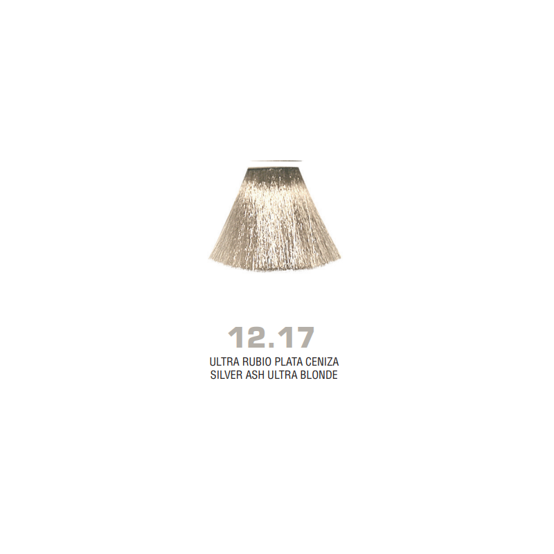 Divina.One N.12.17 boja za kosu