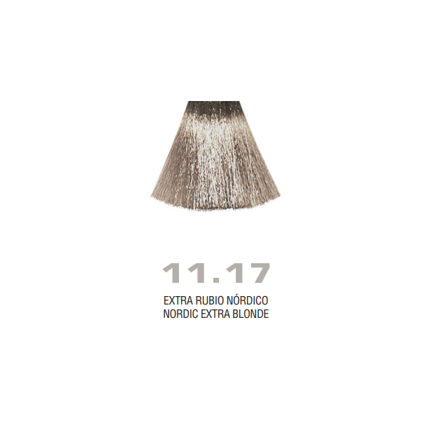 Divina.One N.11.17 boja za kosu