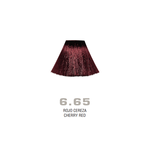 Divina.One N.6.65 boja za kosu