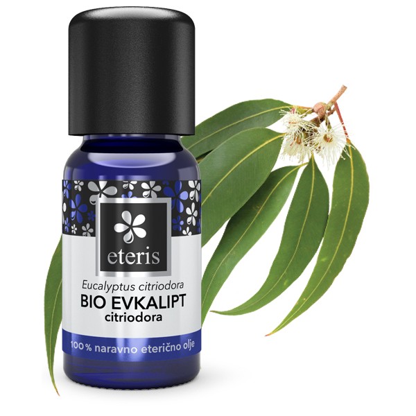 Eucalyptus citriodora – BIO eterično ulje