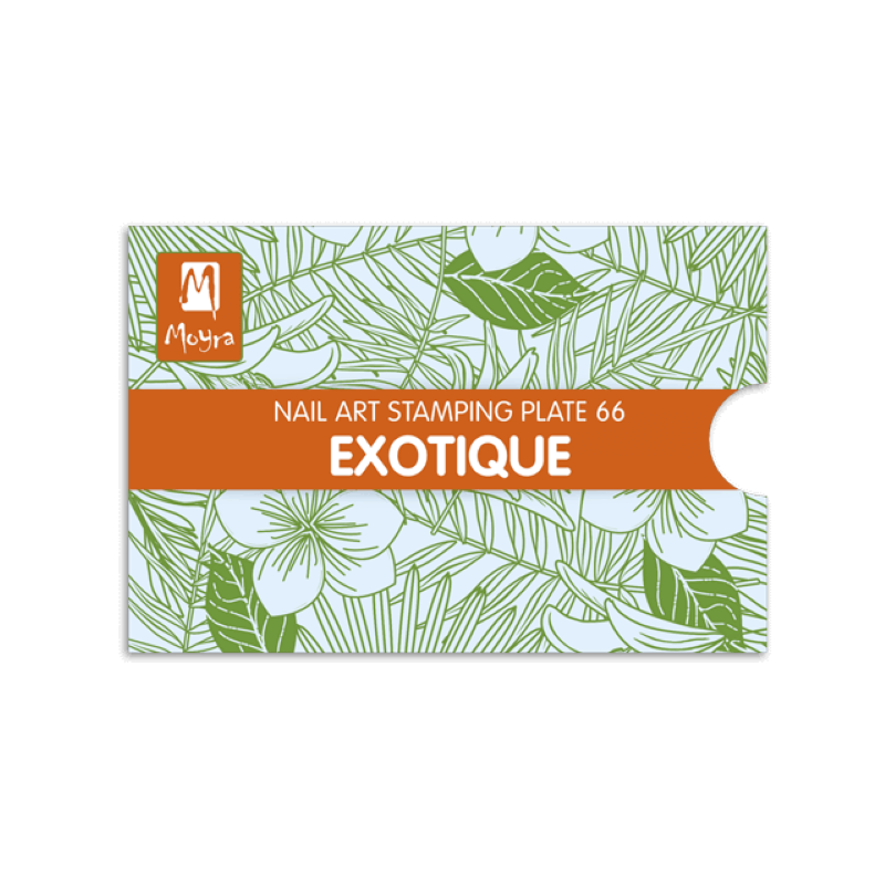 Moyra Exotique Nr.66 matrica